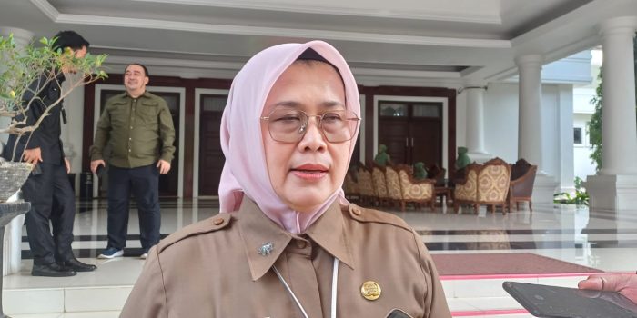 WhatsApp Image 2025-11-08 at 13.47.16